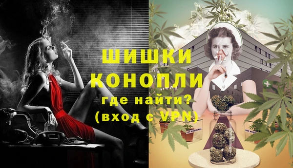 стаф Волосово