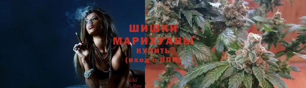 стаф Волосово
