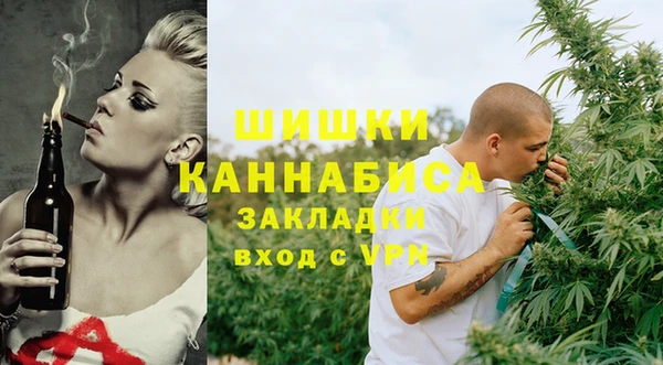 стаф Волосово