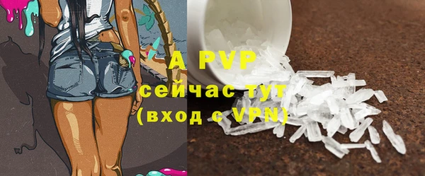 стаф Волосово