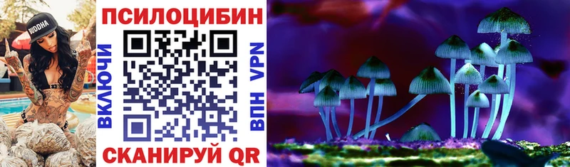 магазин продажи наркотиков  Выборг  Псилоцибиновые грибы мухоморы 